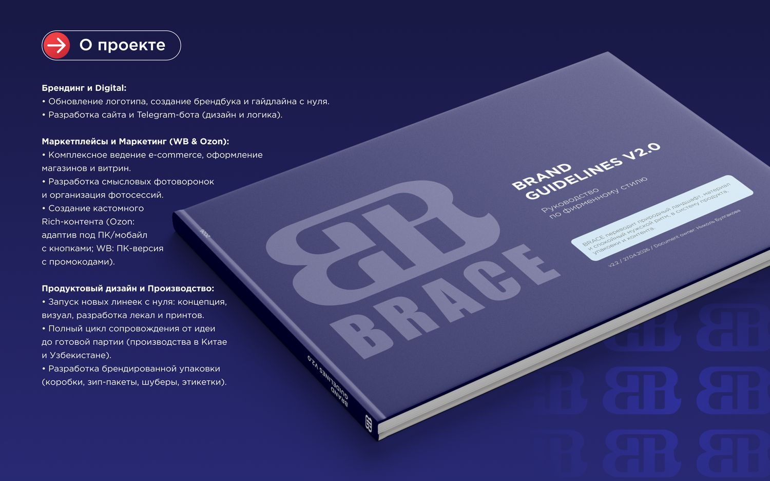 BRACE брендбук, страница 3